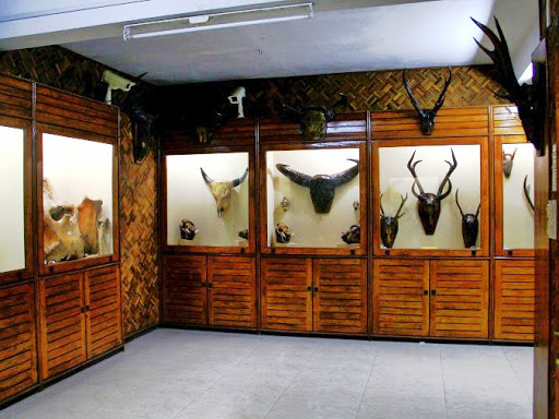 Mizoram State Museum